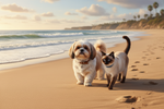 Pet Wellness