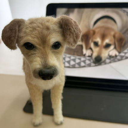 Personalized Custom Realistic Pet Clone – Handcrafted 3D Twist-Wool Sculpture (20cm/8inch Nose-to-Butt)